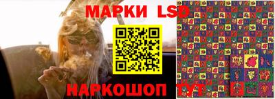 Альфа ПВП Малгобек