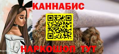 Альфа ПВП Малгобек