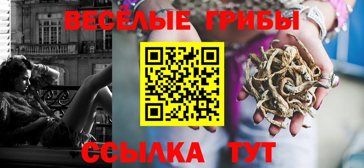 Псилоцибиновые грибы ЛСД Гагарин
